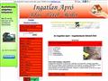 http://ingatlanbank.multiapro.com ismertető oldala
